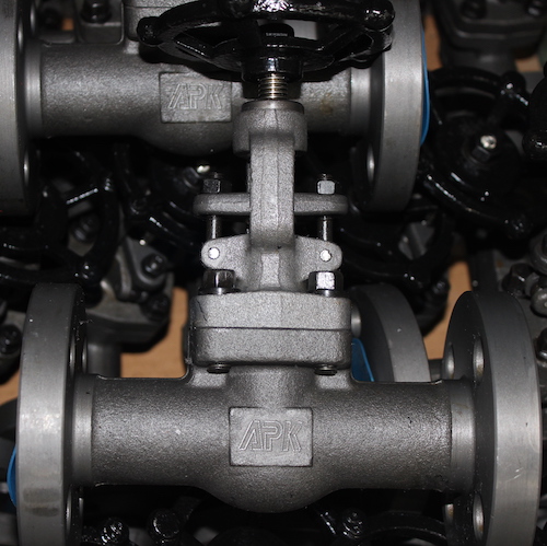 Cryogenic Forged globe valve